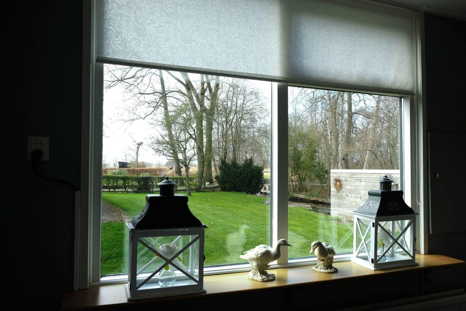 House | View from property