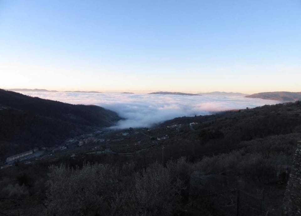 Chalet | View from property