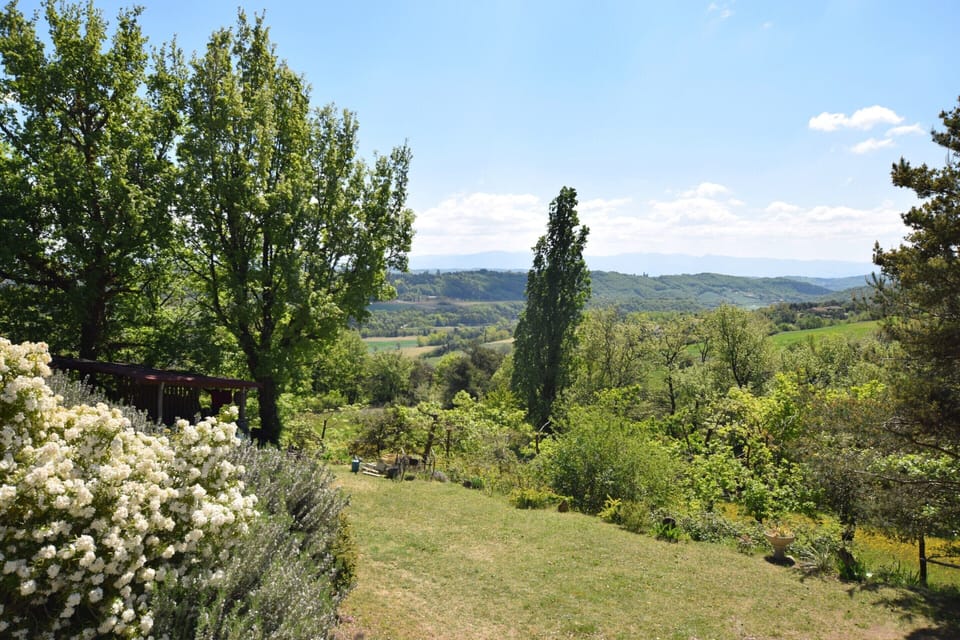 House | View from property
