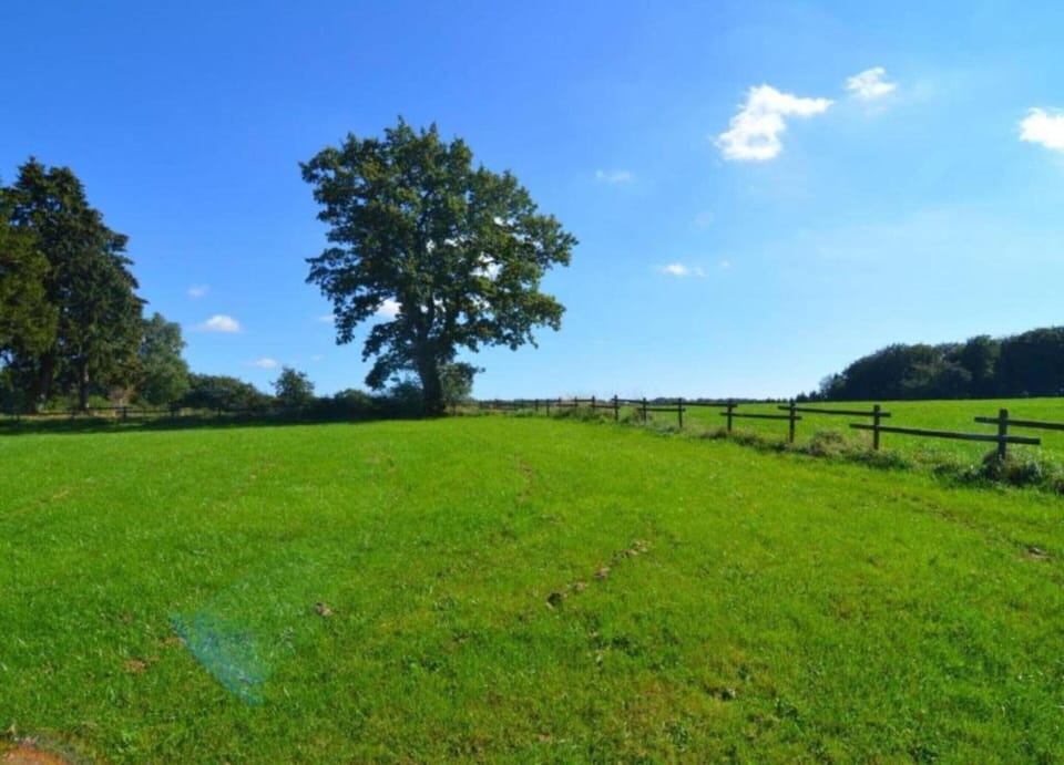 House | View from property