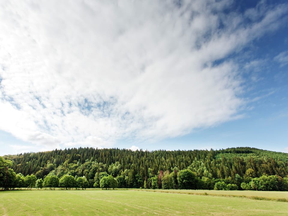 House | View from property