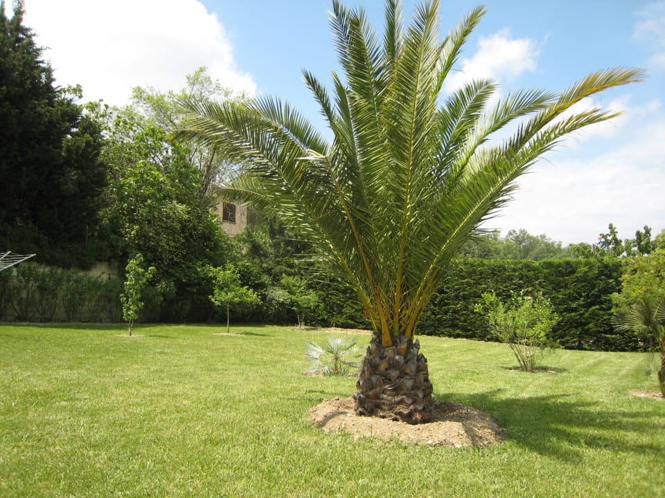 Villa | Garden