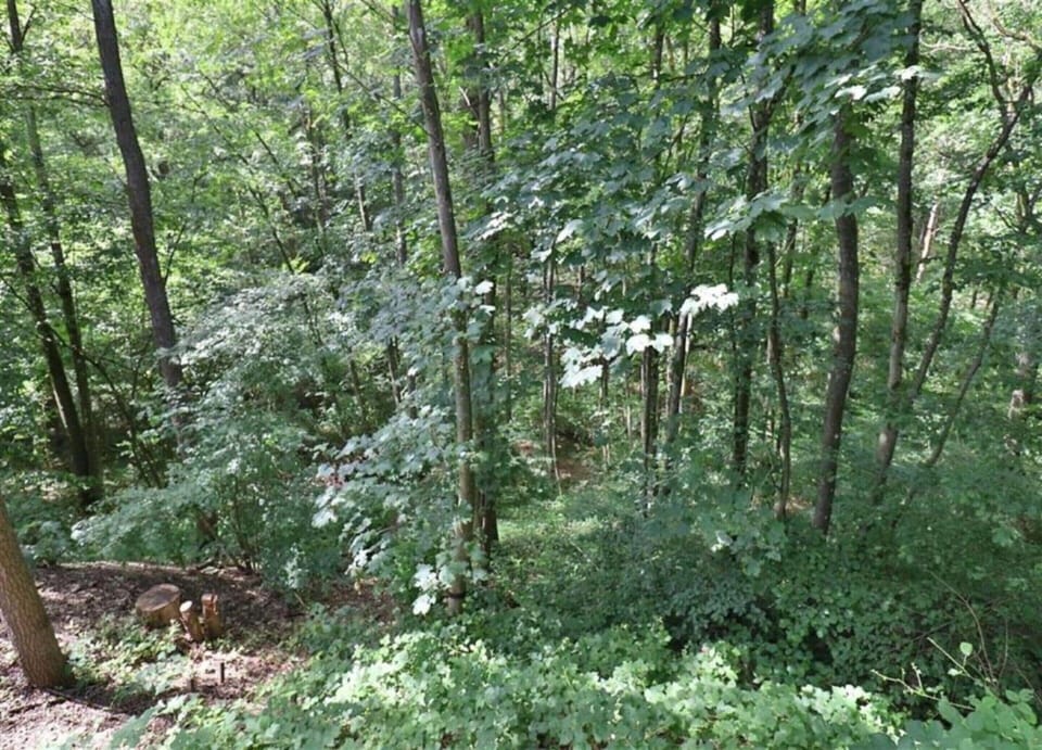 Villa | View from property