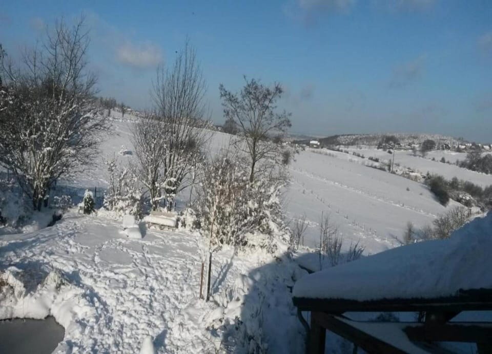 House | View from property
