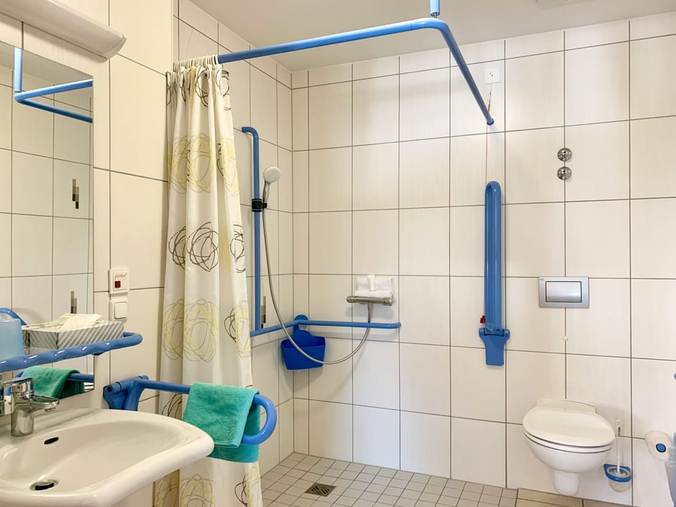 Standard Double Room | Bathroom | Shower, towels, soap, shampoo