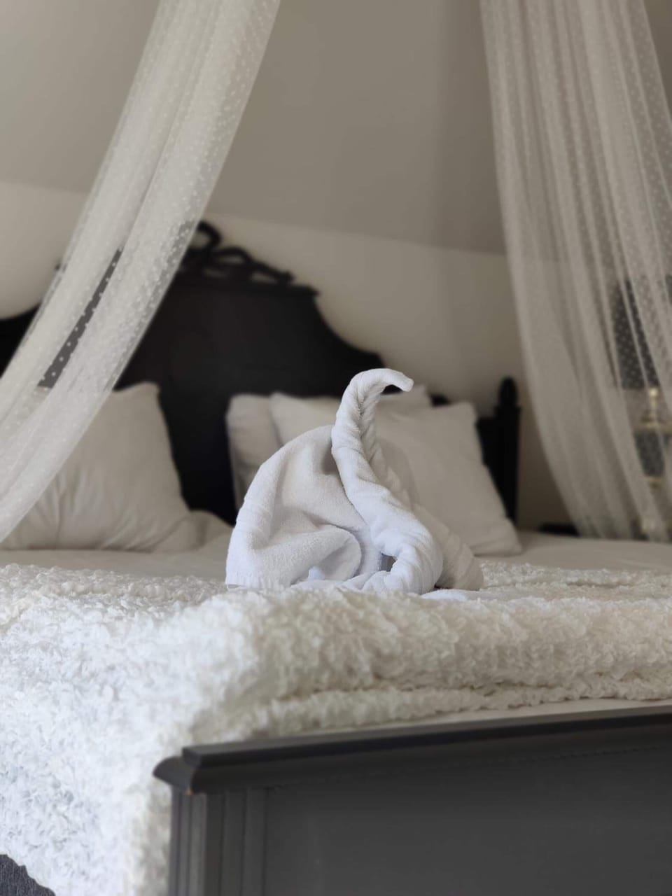 Premium Suite | Individually decorated, individually furnished, desk, blackout drapes