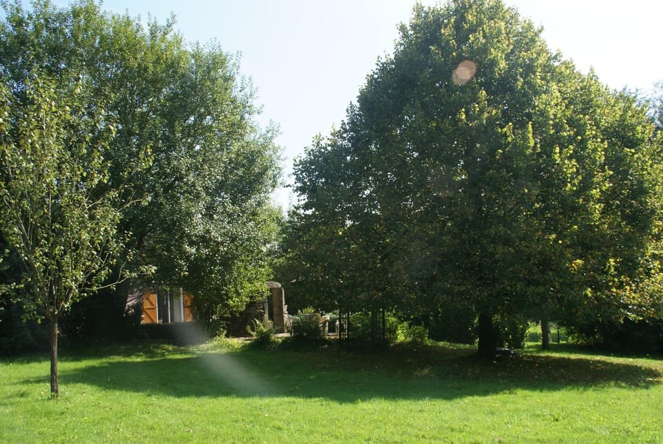 House | Garden