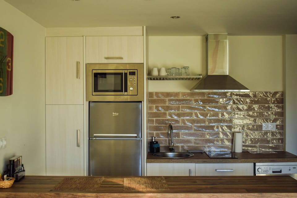 Full-size fridge, microwave, stovetop, dishwasher