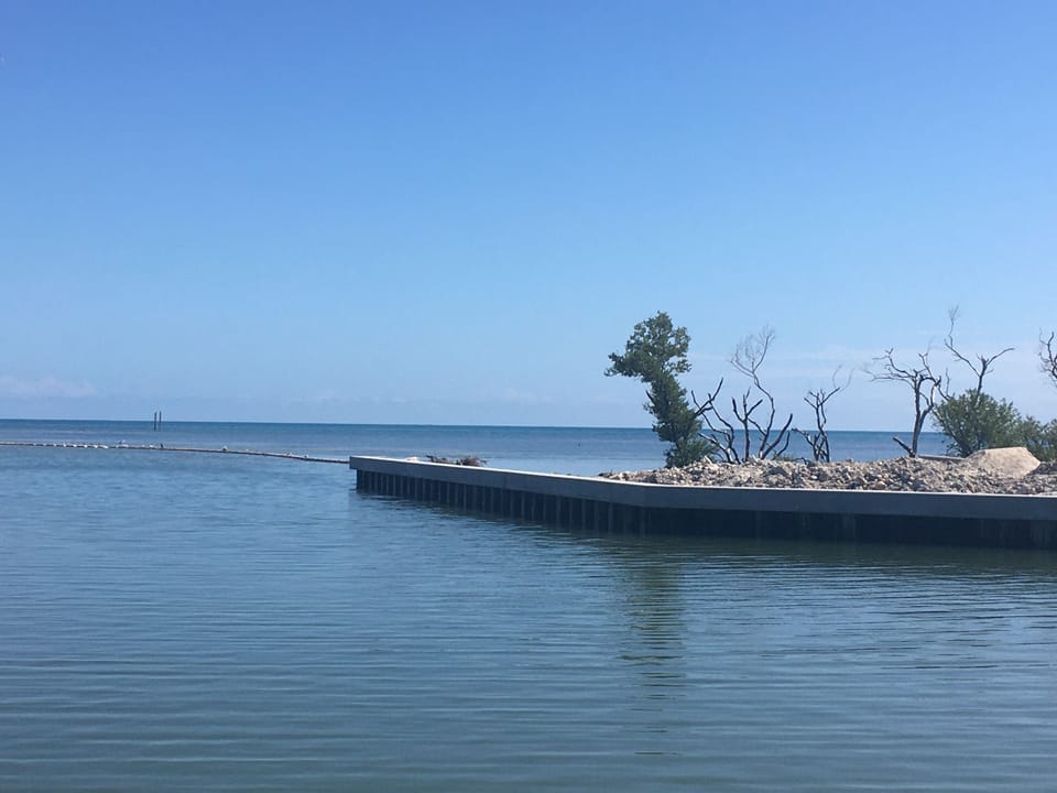 Open water in five minutes 