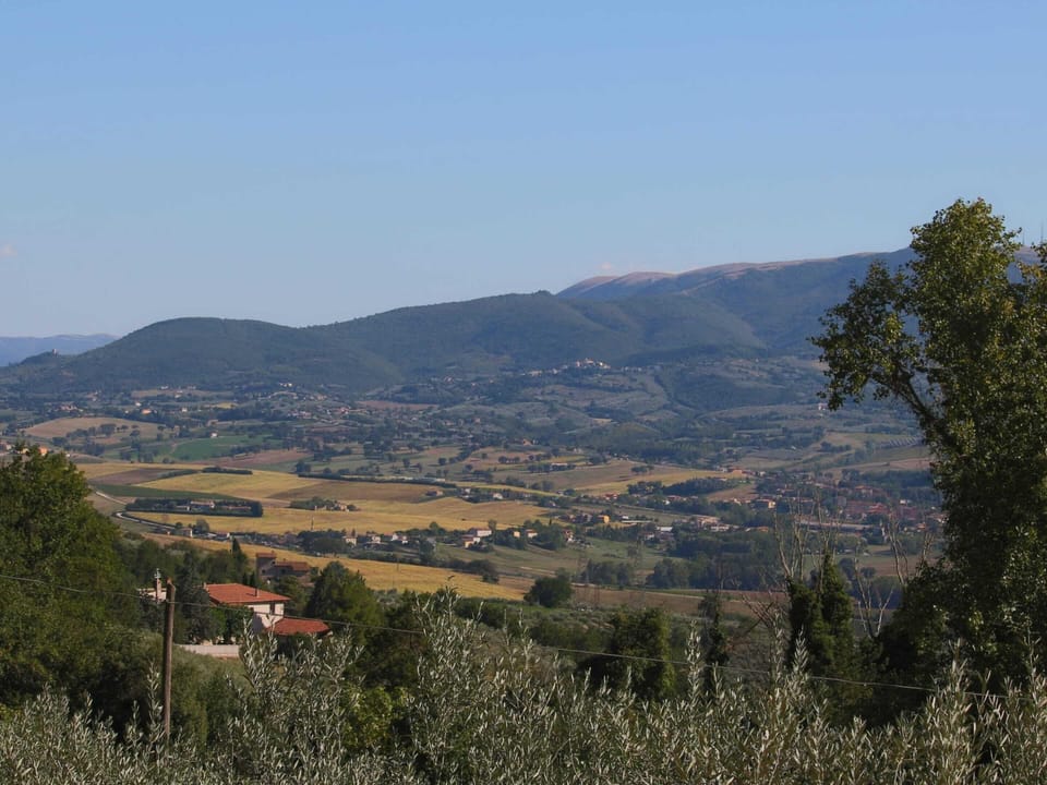 House | View from property