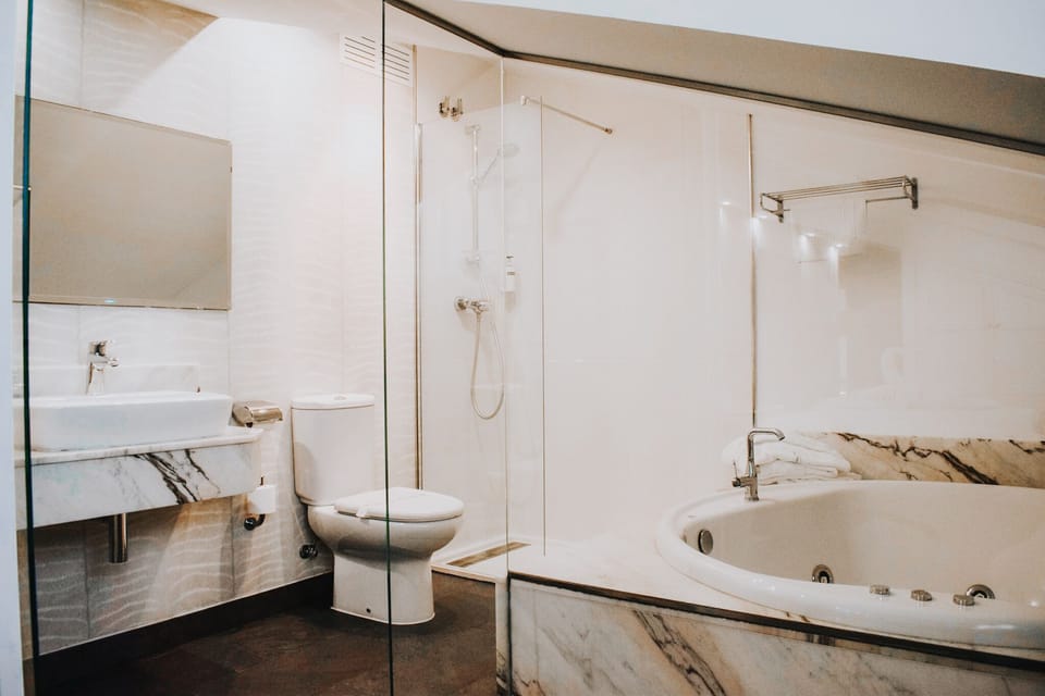 Suite | Bathroom | Free toiletries, hair dryer, towels