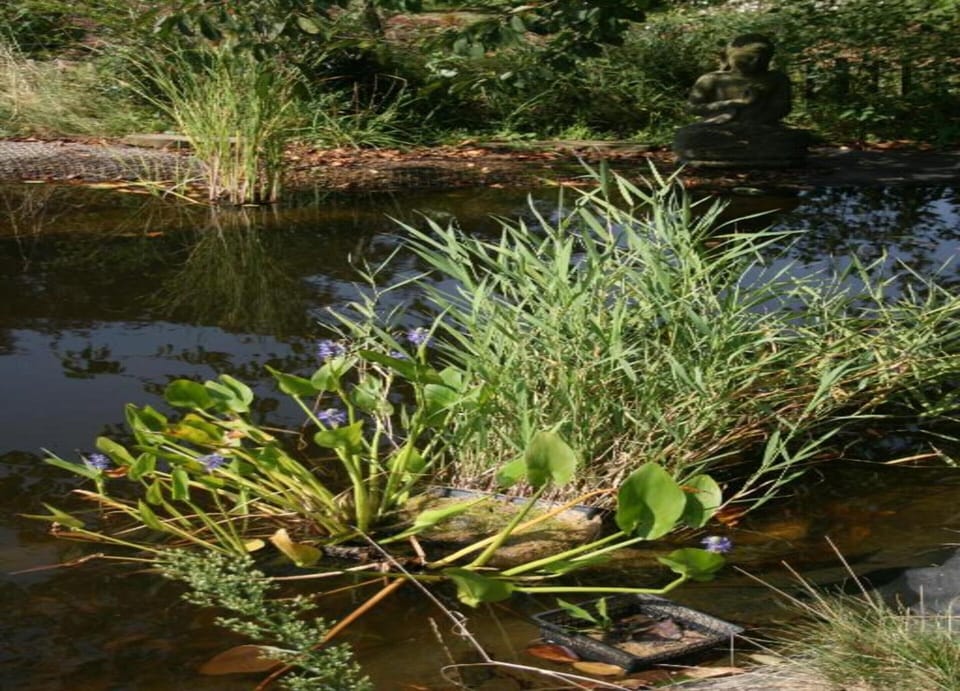 House | View from property