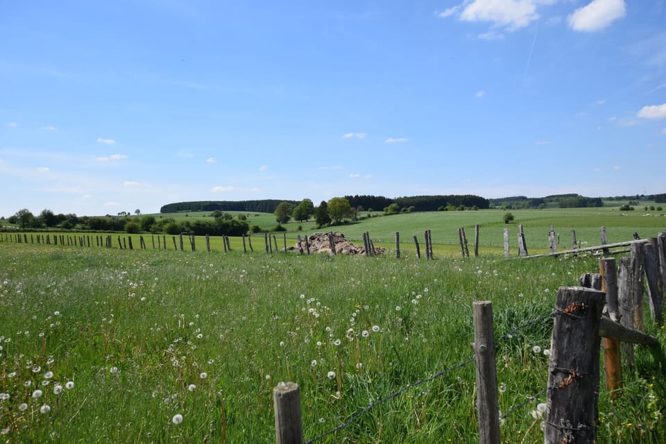 Cottage | View from property