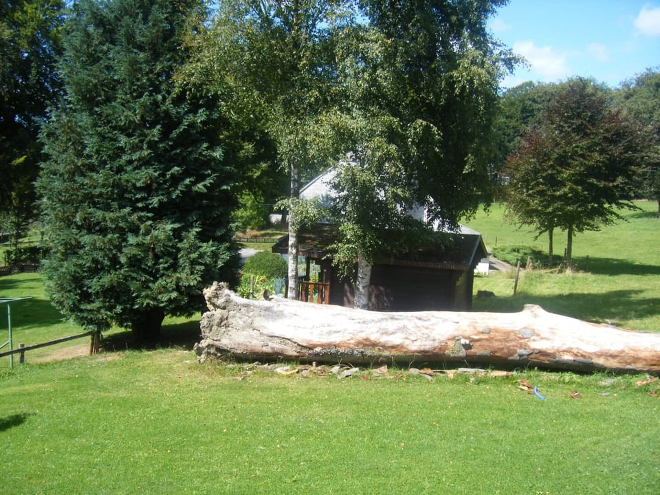 House | Garden
