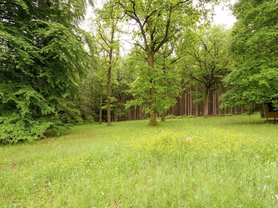 House | View from property