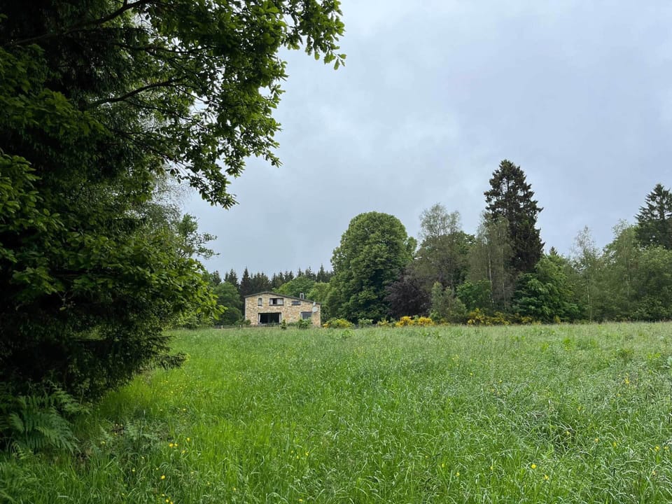 House | Garden