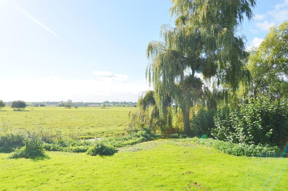 Cottage | View from property