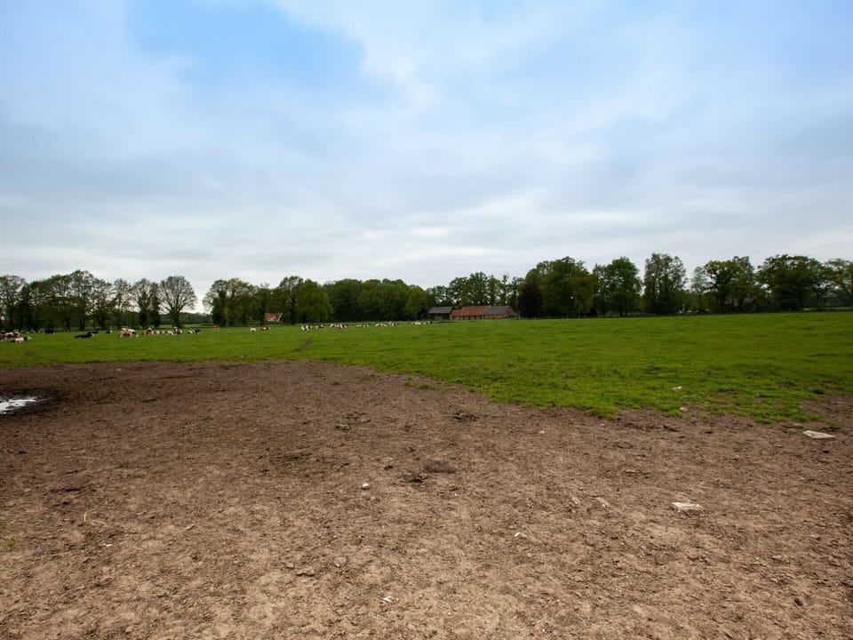 House | View from property