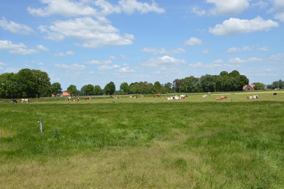 House | View from property