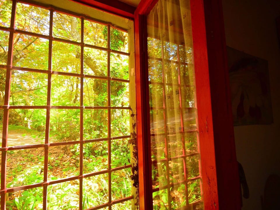 House | View from property