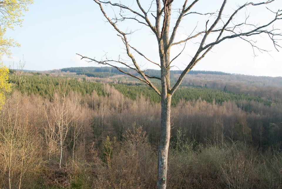 Cottage | View from property