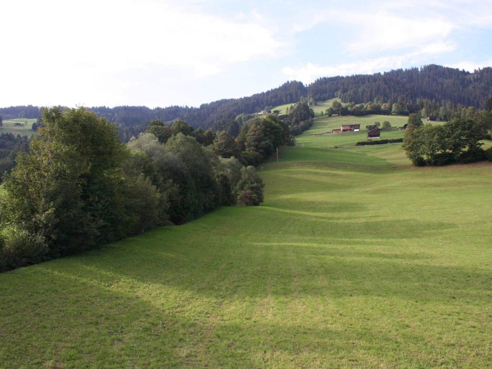 House | View from property