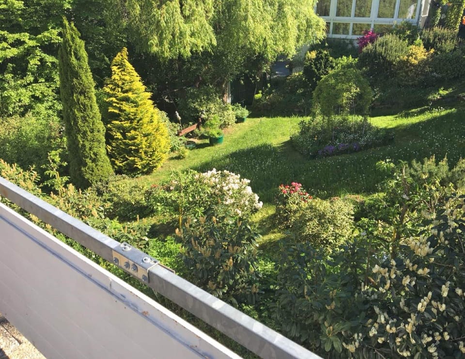 Apartment | View from property