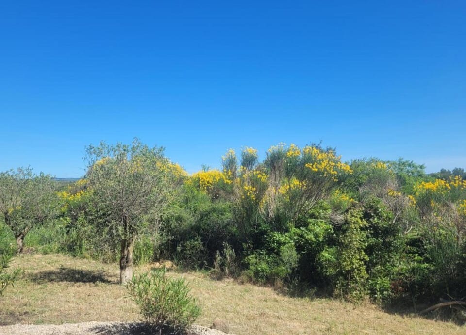 Villa | View from property