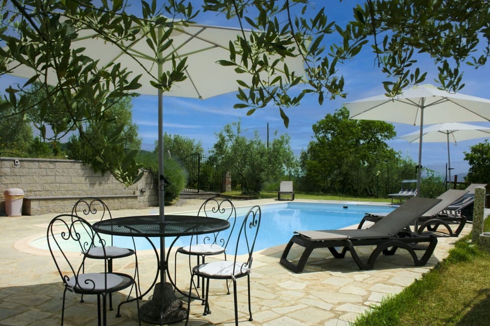Umbrella, Furniture, Outdoor Furniture, Shade, Chair, Outdoor Table, Flowerpot, Swimming Pool, Design, Houseplant