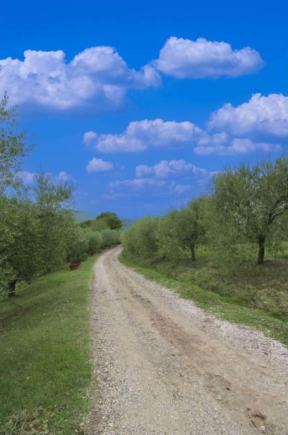 Blue, Daytime, Nature, Cloud, Natural Landscape, Vegetation, Road, Ecoregion, Plain, Trail