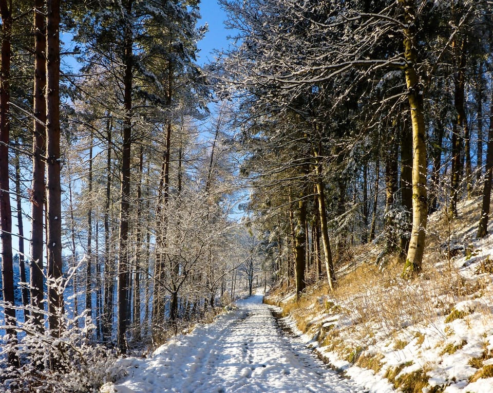 Path to the Three Brethren, Selkirk