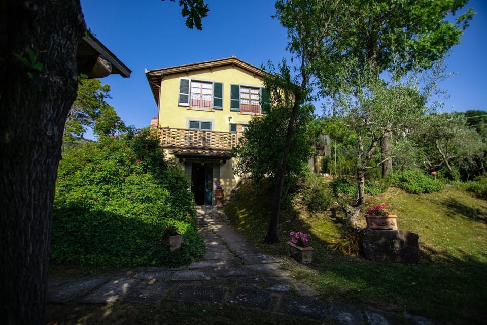 Sky, Plant, Property, Window, Building, Tree, Architecture, Land Lot, Vegetation, House