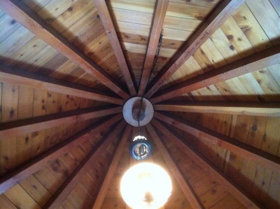 Looking Up in Master Bedroom 