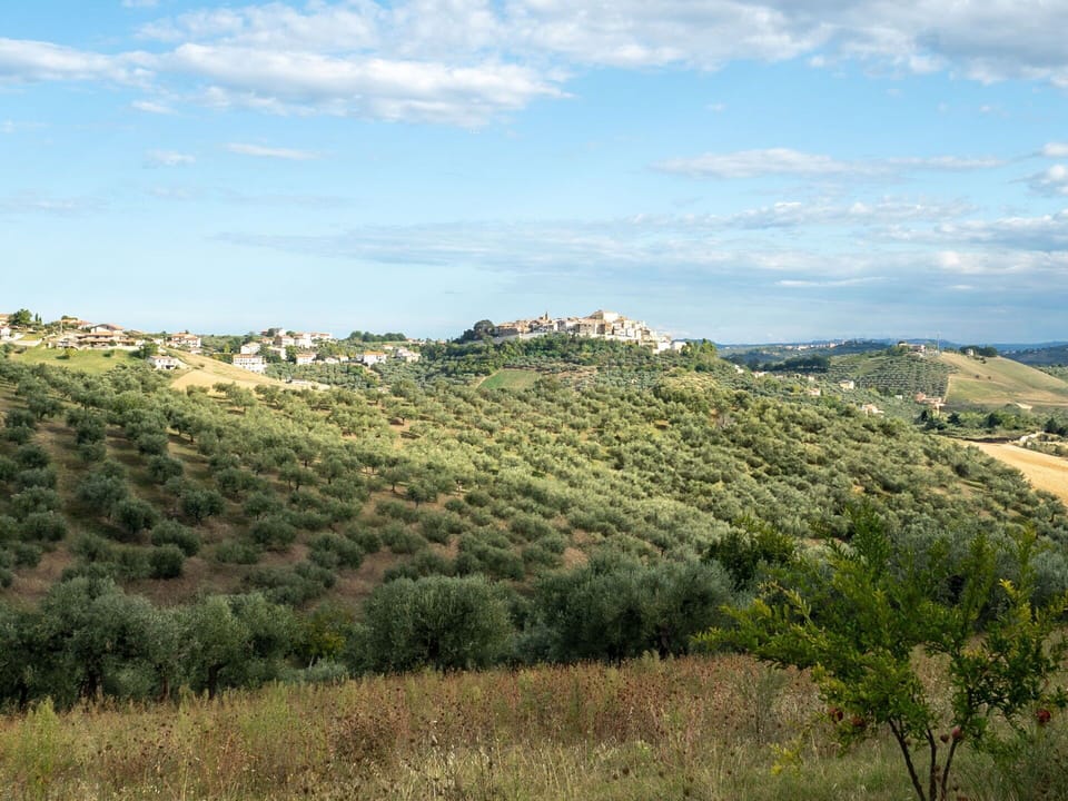 Natural Environment, Vegetation, Natural Landscape, Grassland, Ecoregion, Horizon, Plant Community, Landscape, Hill, Plain