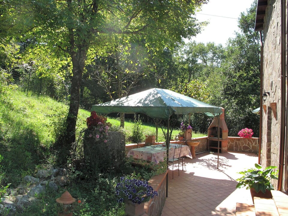 Property, Botany, Shade, Building, Backyard, Canopy, Patio, Garden, Tree, House
