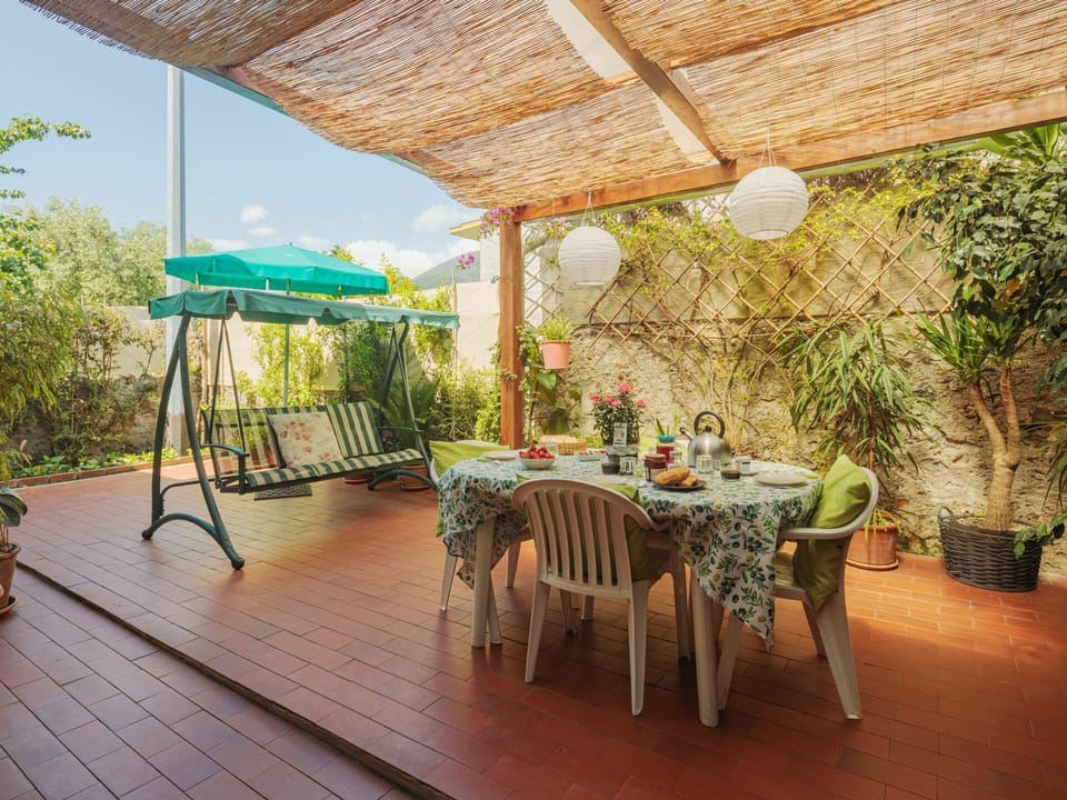 Plant, Table, Property, Furniture, Flowerpot, Outdoor Table, Chair, Outdoor Furniture, Houseplant, Shade