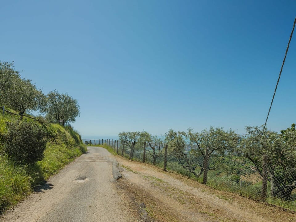 Sky, Plant, Plant Community, Ecoregion, Natural Landscape, Road Surface, Tree, Slope, Land Lot, Asphalt