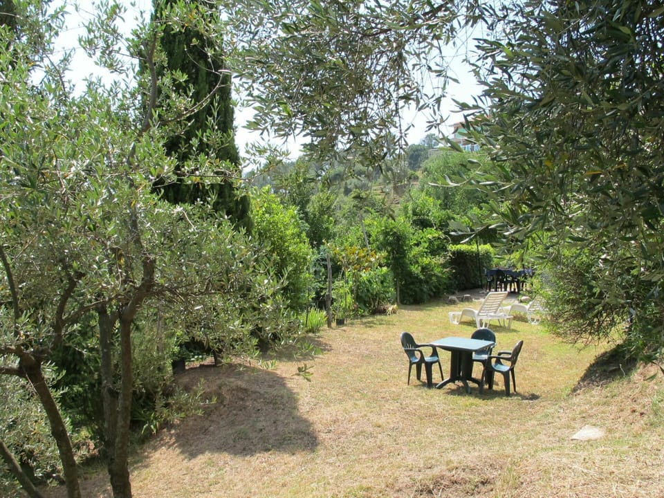 Plant, Outdoor Bench, Tree, Table, Natural Landscape, Shade, Outdoor Furniture, Sky, Bench, Grass