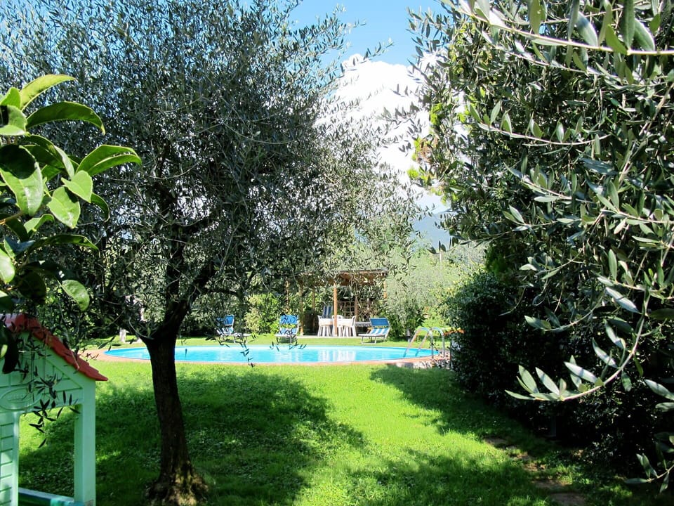 Plant, Sky, Water, Natural Landscape, Natural Environment, Shade, Tree, Land Lot, Grass, Swimming Pool
