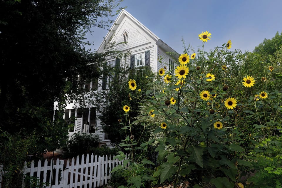 54794983567_f1d1e039a4_k