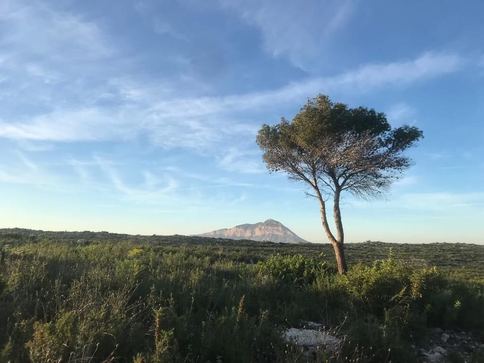 Local view of Elephant mountain