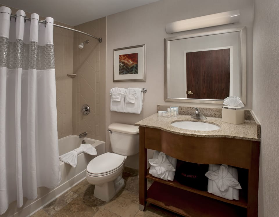 Combined shower/tub, free toiletries, hair dryer, towels