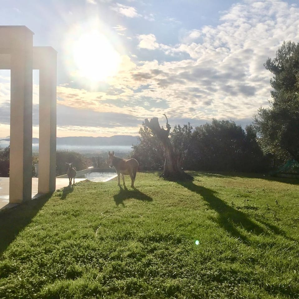 View from property