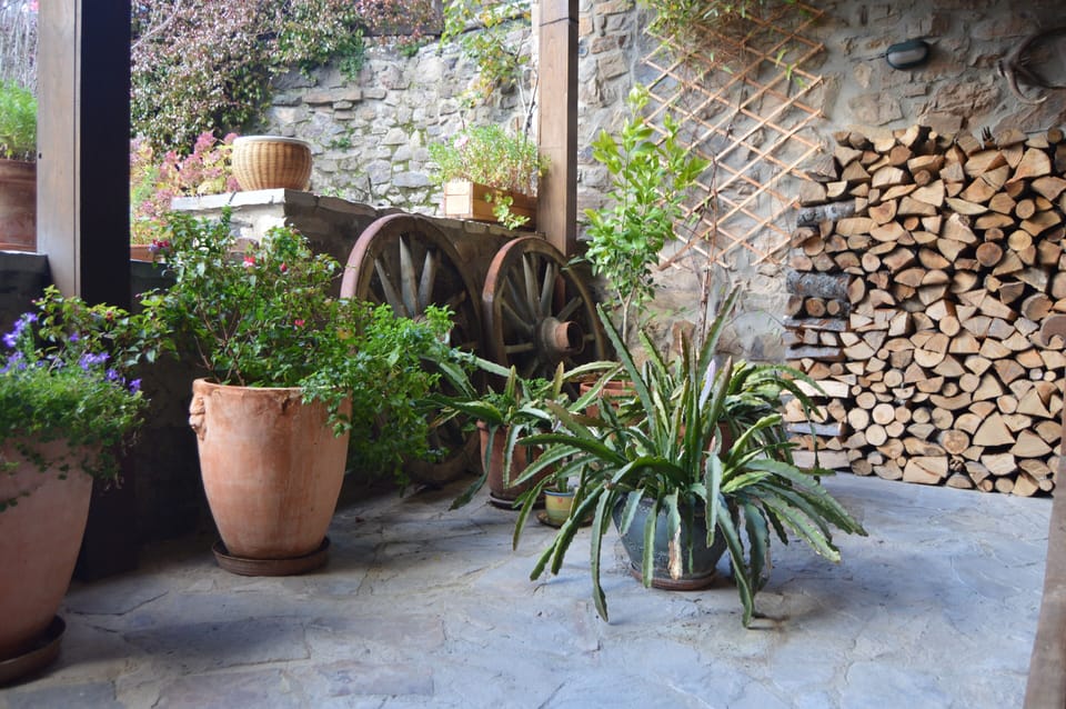 Flowers in the courtyard