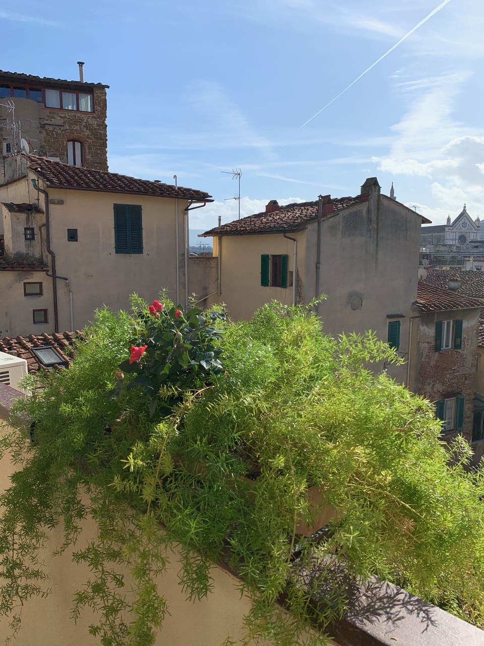 View from property