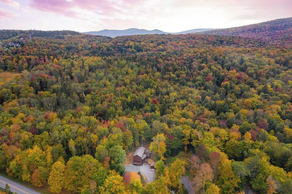 Contemporary home in a serene wooded setting.