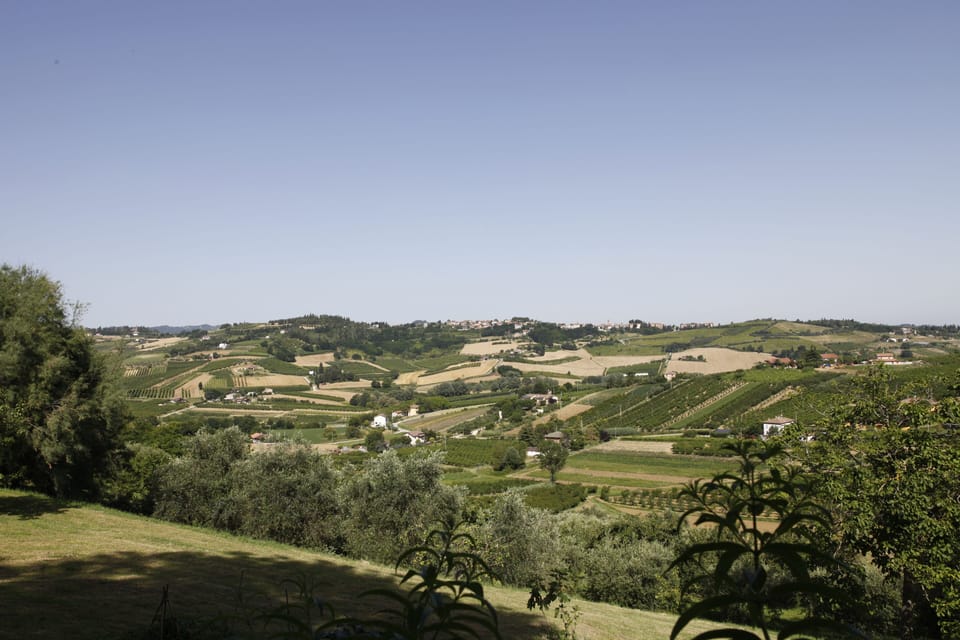 Land view from property
