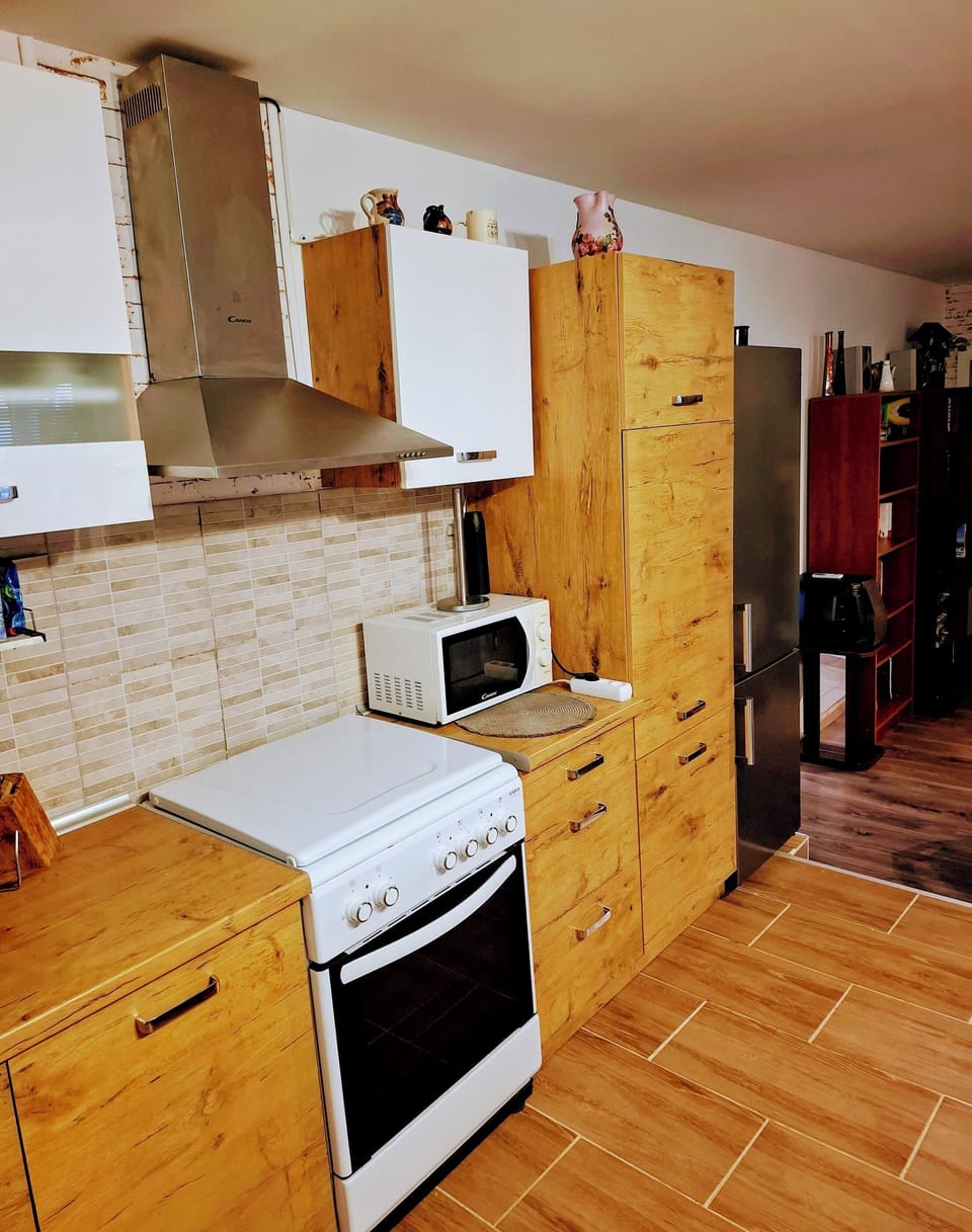 Apartment (A1) | Private kitchen | Fridge, microwave, stovetop, coffee/tea maker