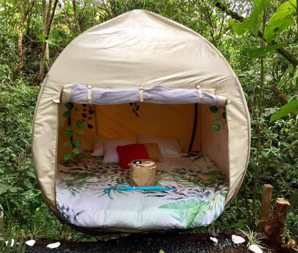Exclusive Tent | View from room