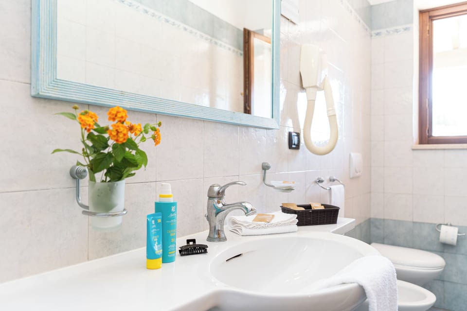 Standard Double Room | Bathroom | Combined shower/tub, free toiletries, hair dryer, bidet